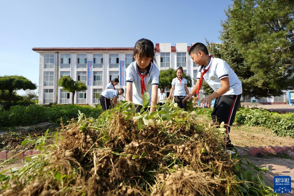 现金炸金花的图片